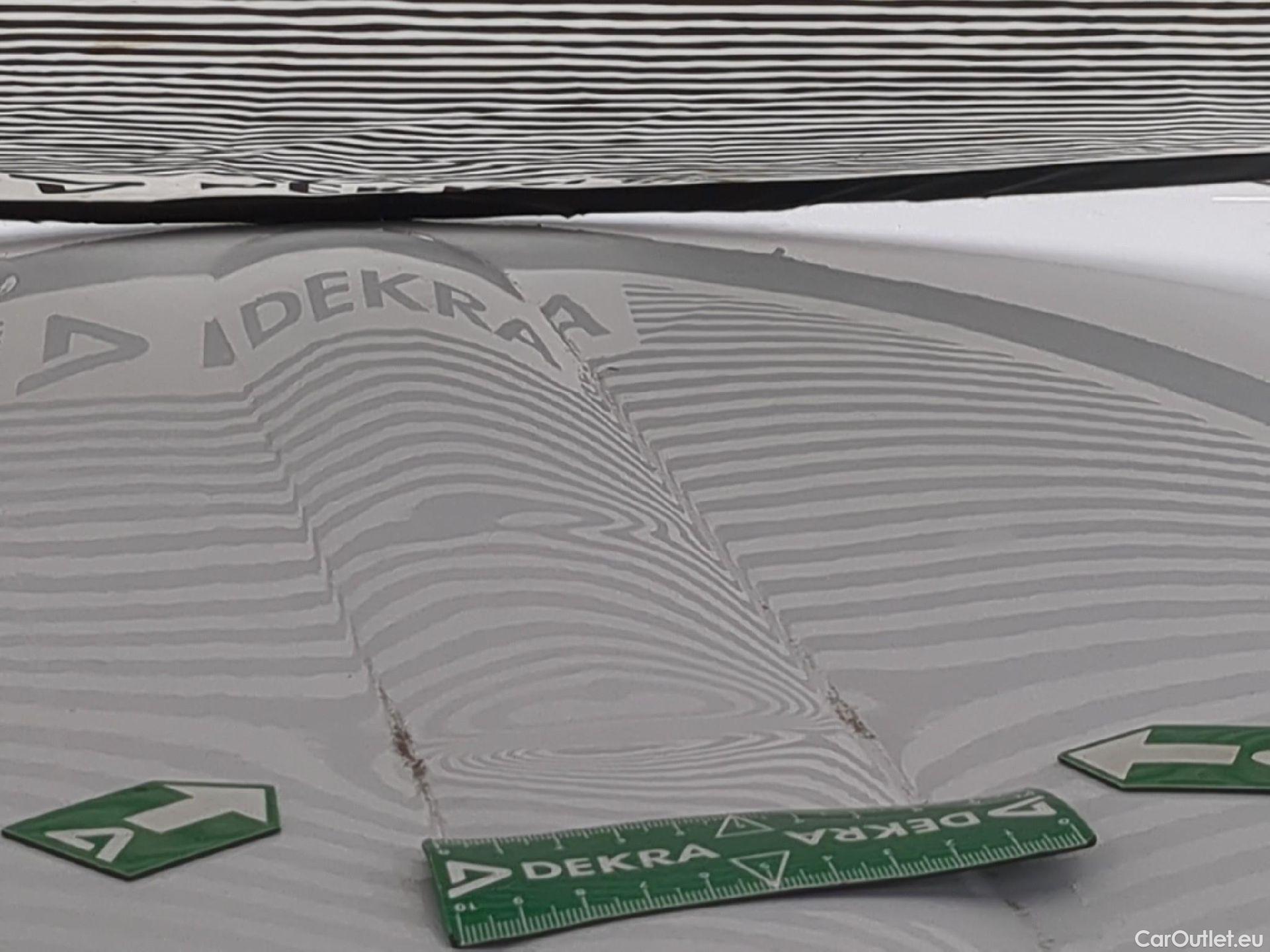  Renault  Kangoo  II Express Maxi Extra (Série Spéciale) 1.5 dCi 95CV BVM6 E6dT #13