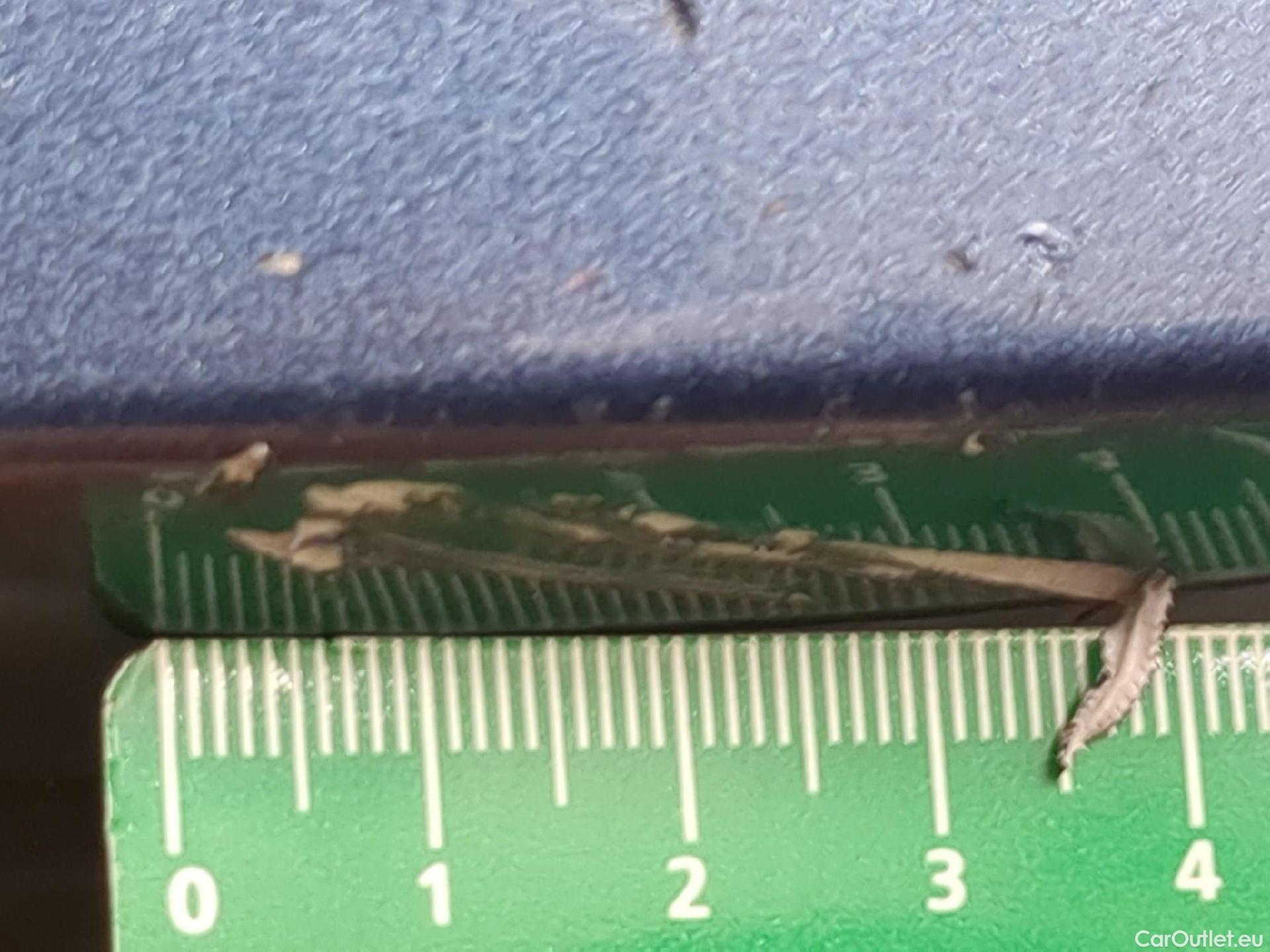  Ford  Focus FORD  SW / 2021 / 5P / Break 1.0 Flexi mHEV 125 Titani X Busin Pshift #18