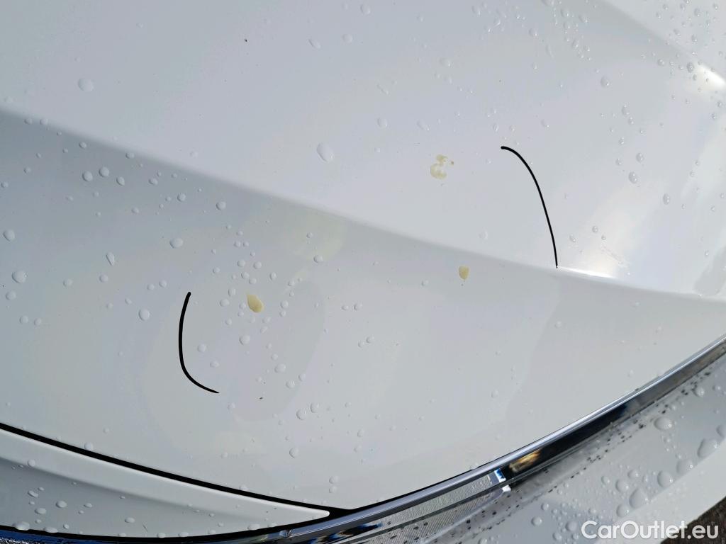  Volkswagen  Golf  VOLKSWAGEN / 2020 / 5P / berlina con portón 2.0 TDI 85kW (115CV) #16