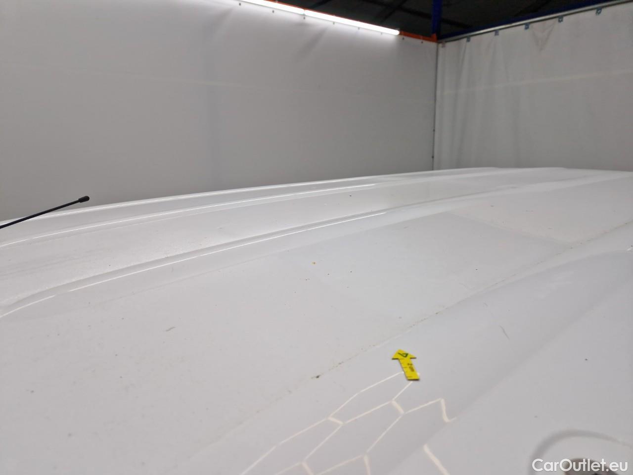  Renault  Kangoo 1.5 Blue dCi 95HP Maxi Confort #39