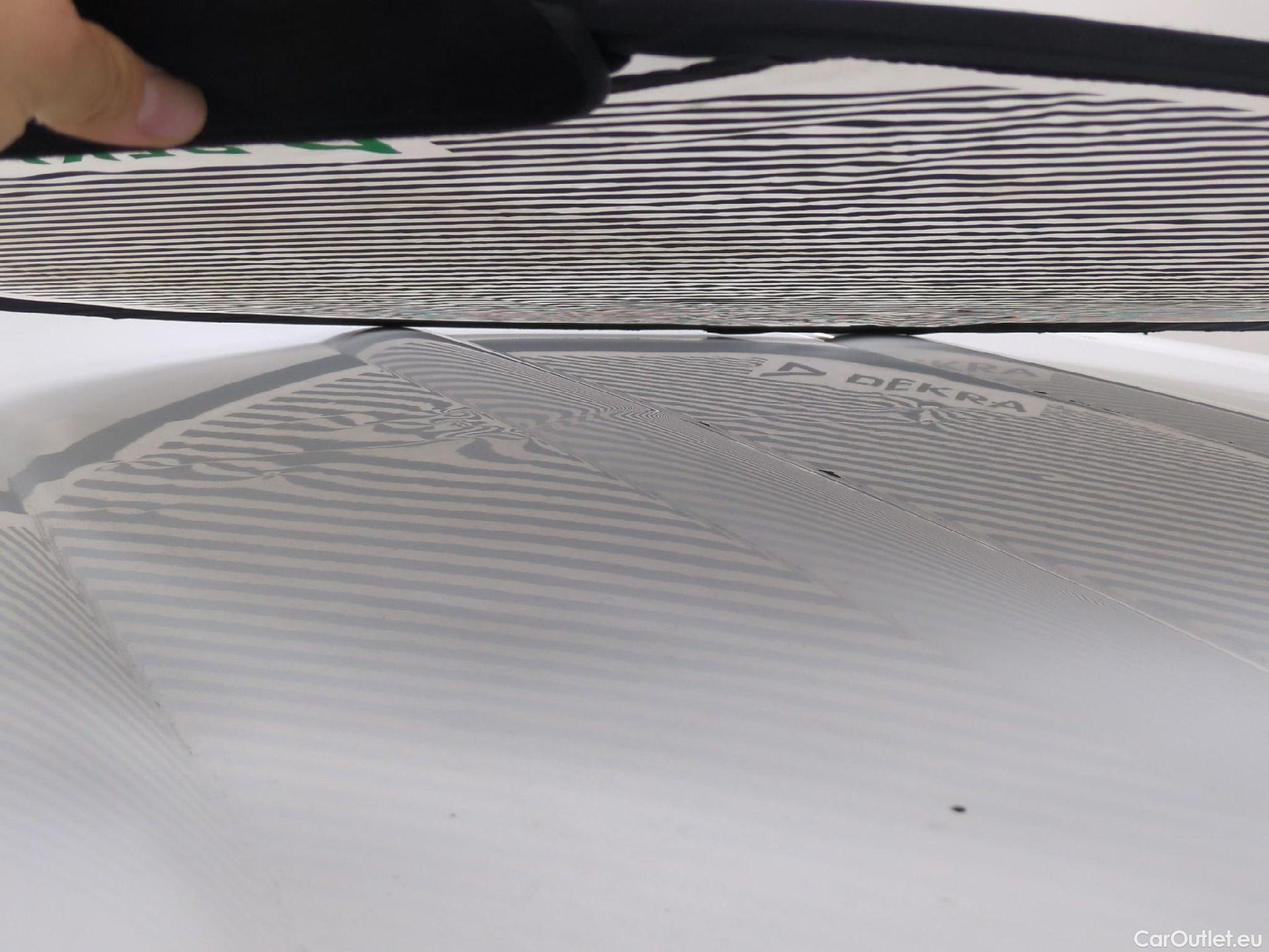  Renault  Kangoo  Express Maxi Extra (Série Spéciale) 1.5 dCi 90CV BVM5 E6 #26