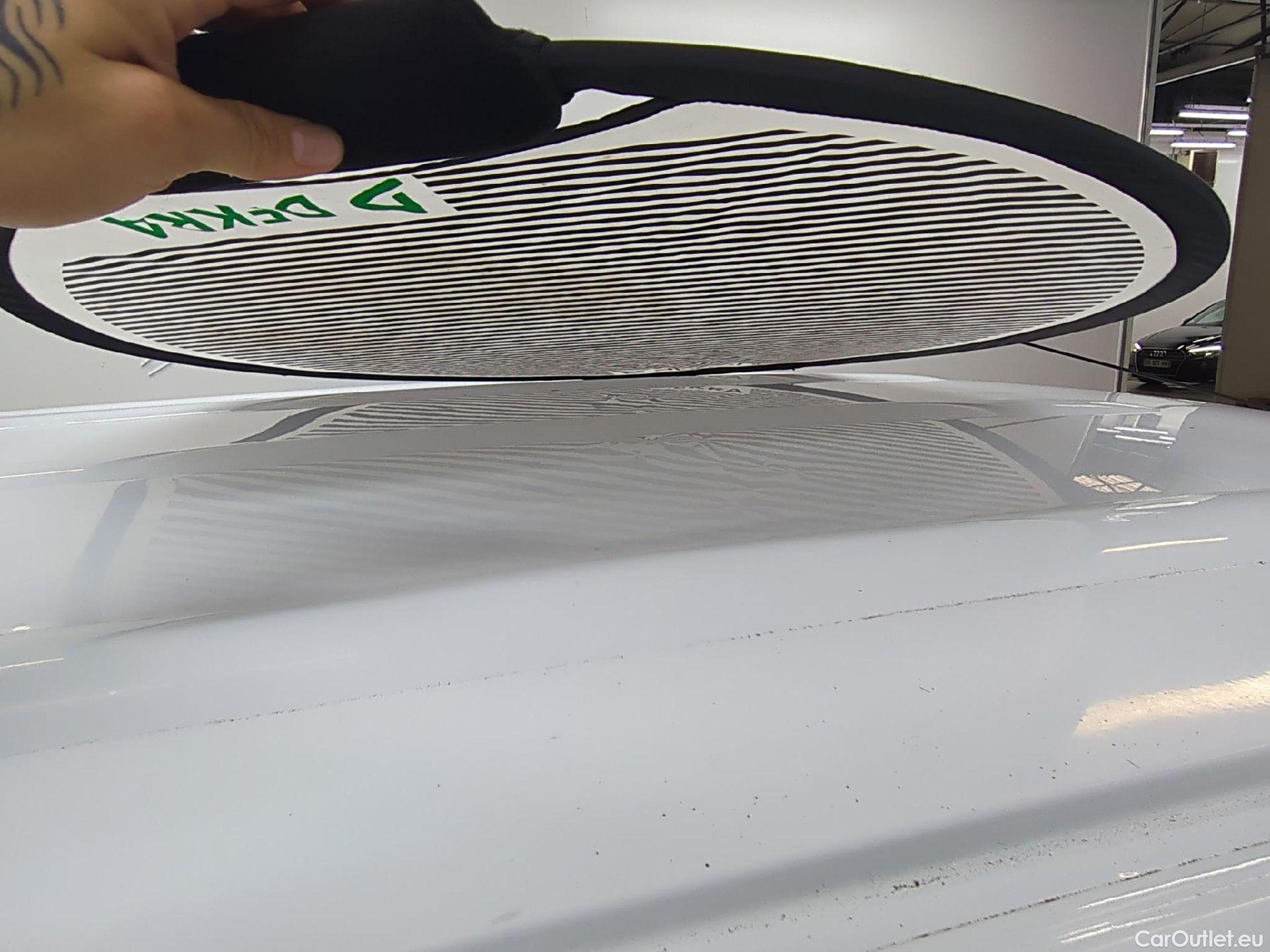  Renault  Kangoo  Express Maxi Extra (Série Spéciale) 1.5 dCi 90CV BVM5 E6 #23