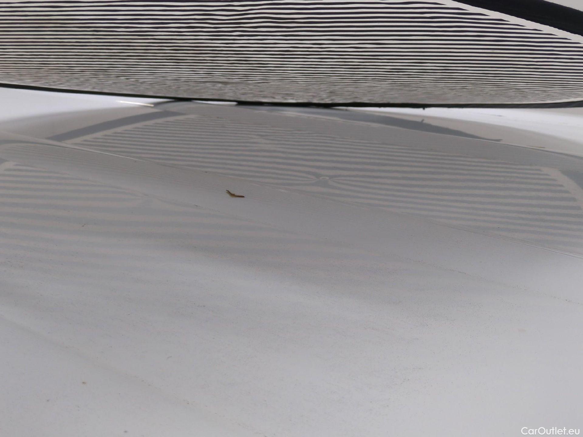  Renault  Kangoo  Express Maxi Extra (Série Spéciale) 1.5 dCi 90CV BVM5 E6 #22