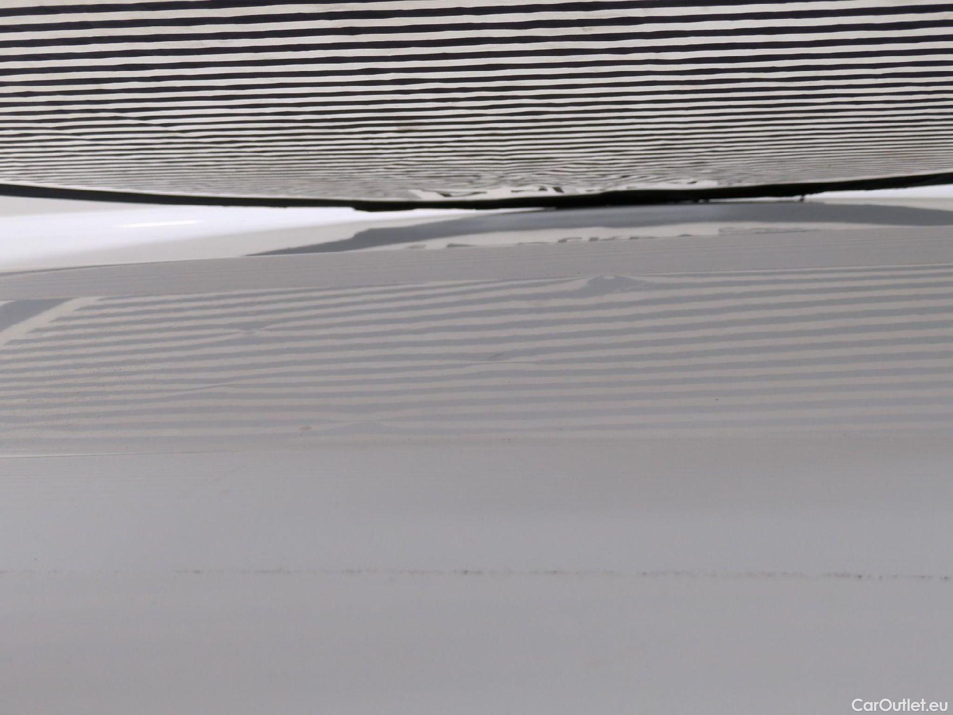  Renault  Kangoo  Express Maxi Extra (Série Spéciale) 1.5 dCi 90CV BVM5 E6 #29