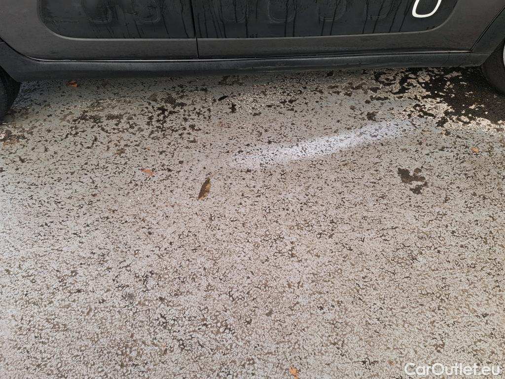  Citroen  C3 CITROEN  5p Berline PureTech 110 S&S BVM6 Shine Business #22