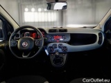  Fiat  Panda FIAT  / 2011 / 5P / BERLINA 1.0 70CV SeS HYBRID CITY LIFE #3