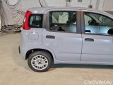  Fiat  Panda FIAT  / 2011 / 5P / BERLINA 1.2 69CV SeS E6D-TEMP EASY #35