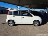  Fiat  Panda FIAT  / 2011 / 5P / BERLINA 1.2 69CV SeS E6D-TEMP EASY #7