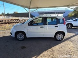  Fiat  Panda FIAT  / 2011 / 5P / BERLINA 1.2 69CV SeS E6D-TEMP EASY #8