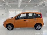  Fiat  Panda FIAT  / 2011 / 5P / BERLINA 1.2 FIRE 69CV SeS EASYPOWER #8