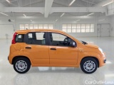  Fiat  Panda FIAT  / 2011 / 5P / BERLINA 1.2 FIRE 69CV SeS EASYPOWER #7