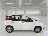  Fiat  Panda FIAT  / 2011 / 5P / BERLINA 1.2 69CV E6 EASY #7