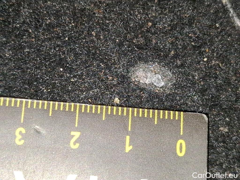  Skoda  Kodiaq  Business 2.0 TDI 150CV BVA7 E6d #28