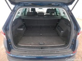  Skoda  Kodiaq  Business 2.0 TDI 150CV BVA7 E6d #10