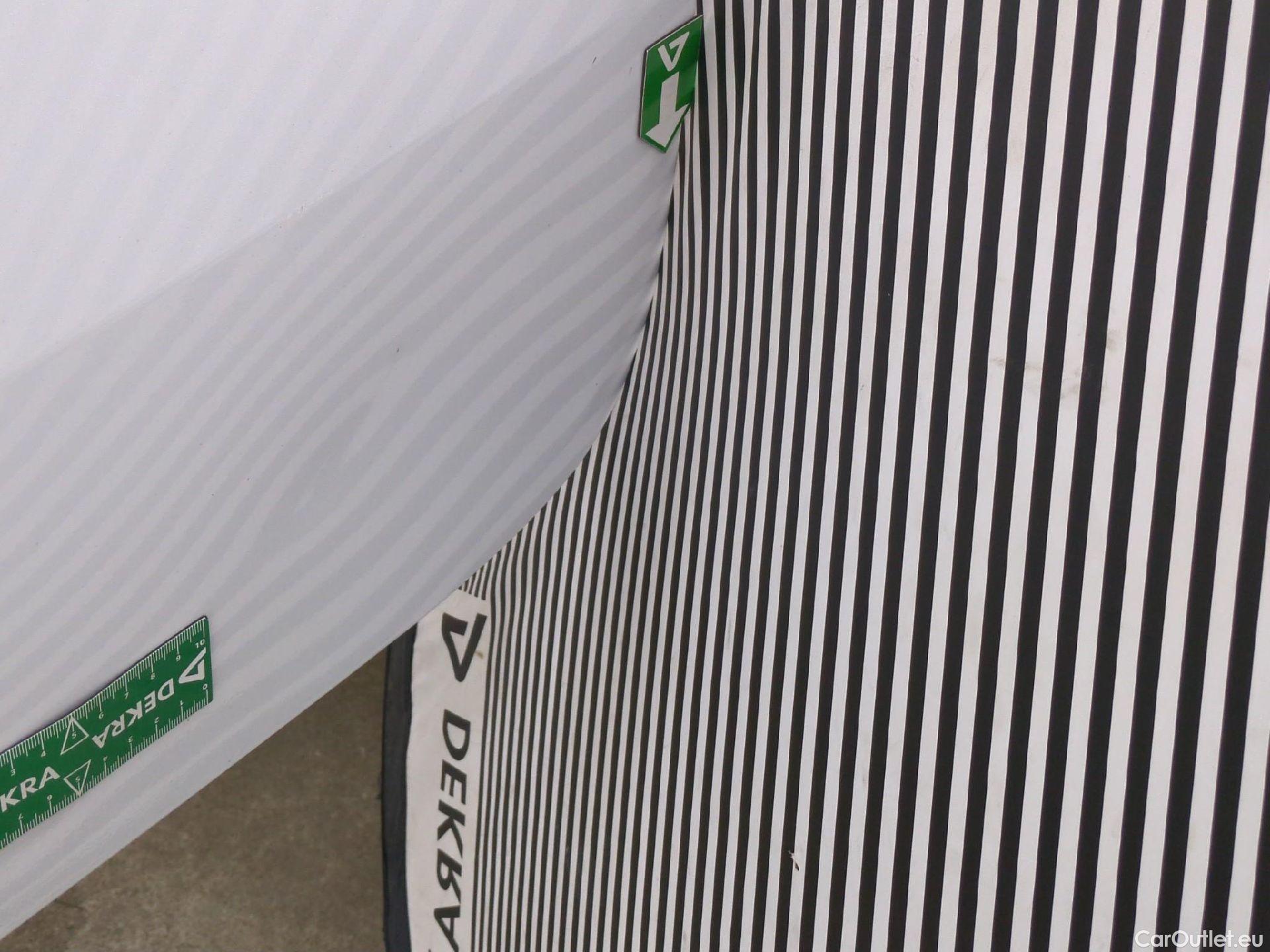  Renault  Kangoo  Express Maxi Extra (Série Spéciale) 1.5 dCi 90CV BVM5 E6 #71