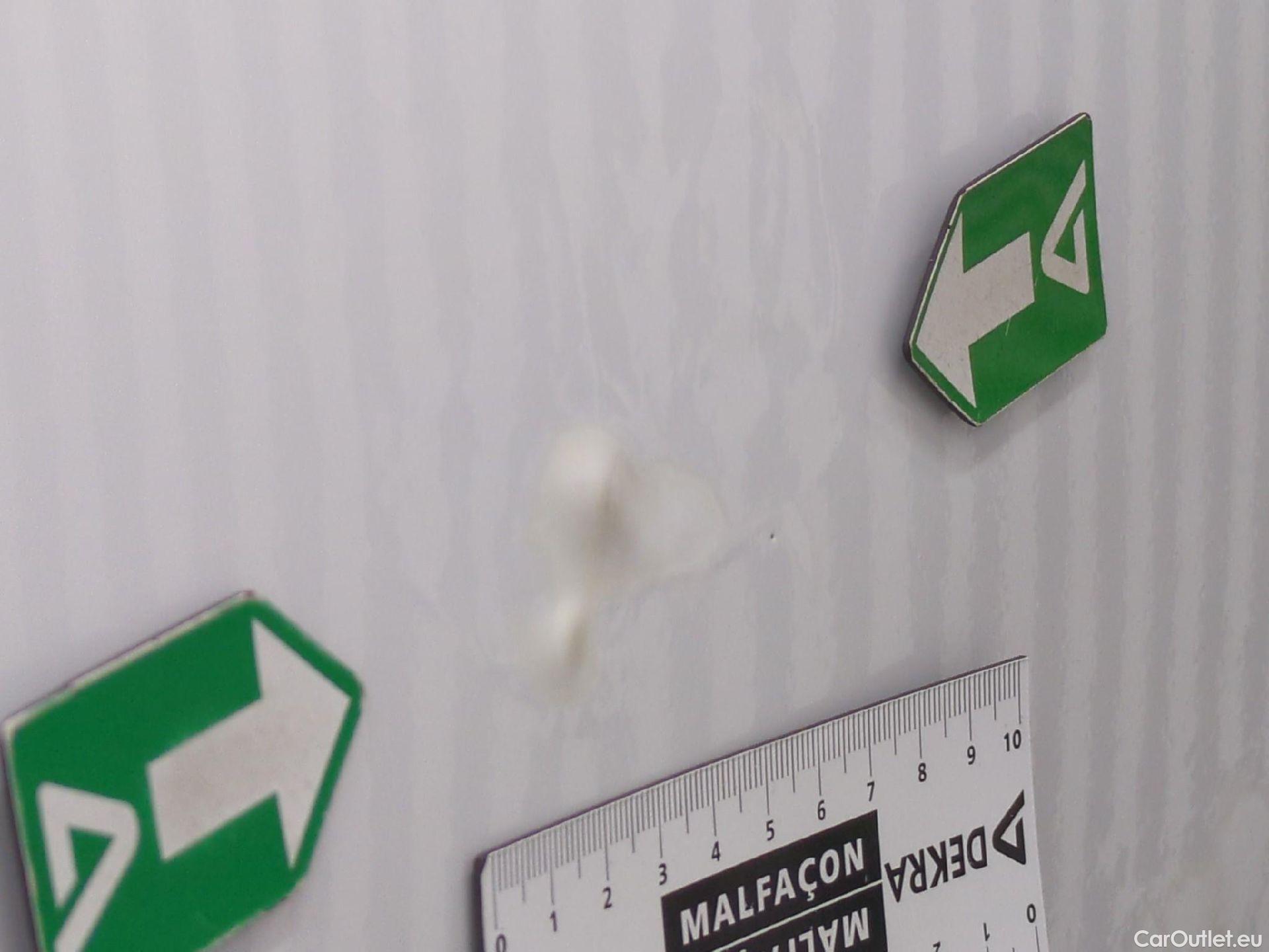  Renault  Kangoo  Express Maxi Extra (Série Spéciale) 1.5 dCi 90CV BVM5 E6 #31