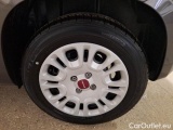  Fiat  Panda FIAT  / 2011 / 5P / BERLINA 1.0 FIREFLY 70CV SeS HYBRID #19