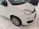  Fiat  Panda FIAT  / 2011 / 5P / BERLINA 1.0 70CV SeS HYBRID #34