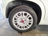  Fiat  Panda FIAT  / 2011 / 5P / BERLINA 1.0 FIREFLY 70CV SeS HYBRID #18