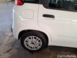  Fiat  Panda FIAT  / 2011 / 5P / BERLINA 1.0 FIREFLY 70CV SeS HYBRID #31