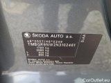  Skoda  KAMIQ -SUV (NW4) (2019)  1.0 TSI 81 Style AT #10