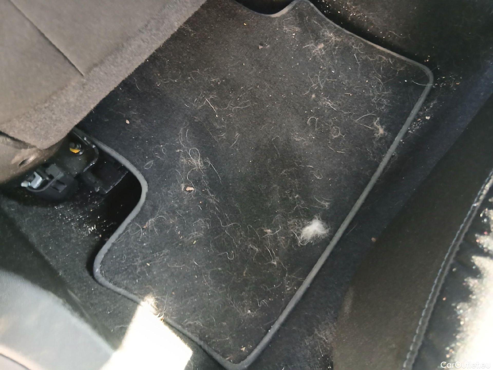  Renault  Clio RENAULT  / 2019 / 5P / berlina con portón Business Blue dCi 63 kW (85CV) #17