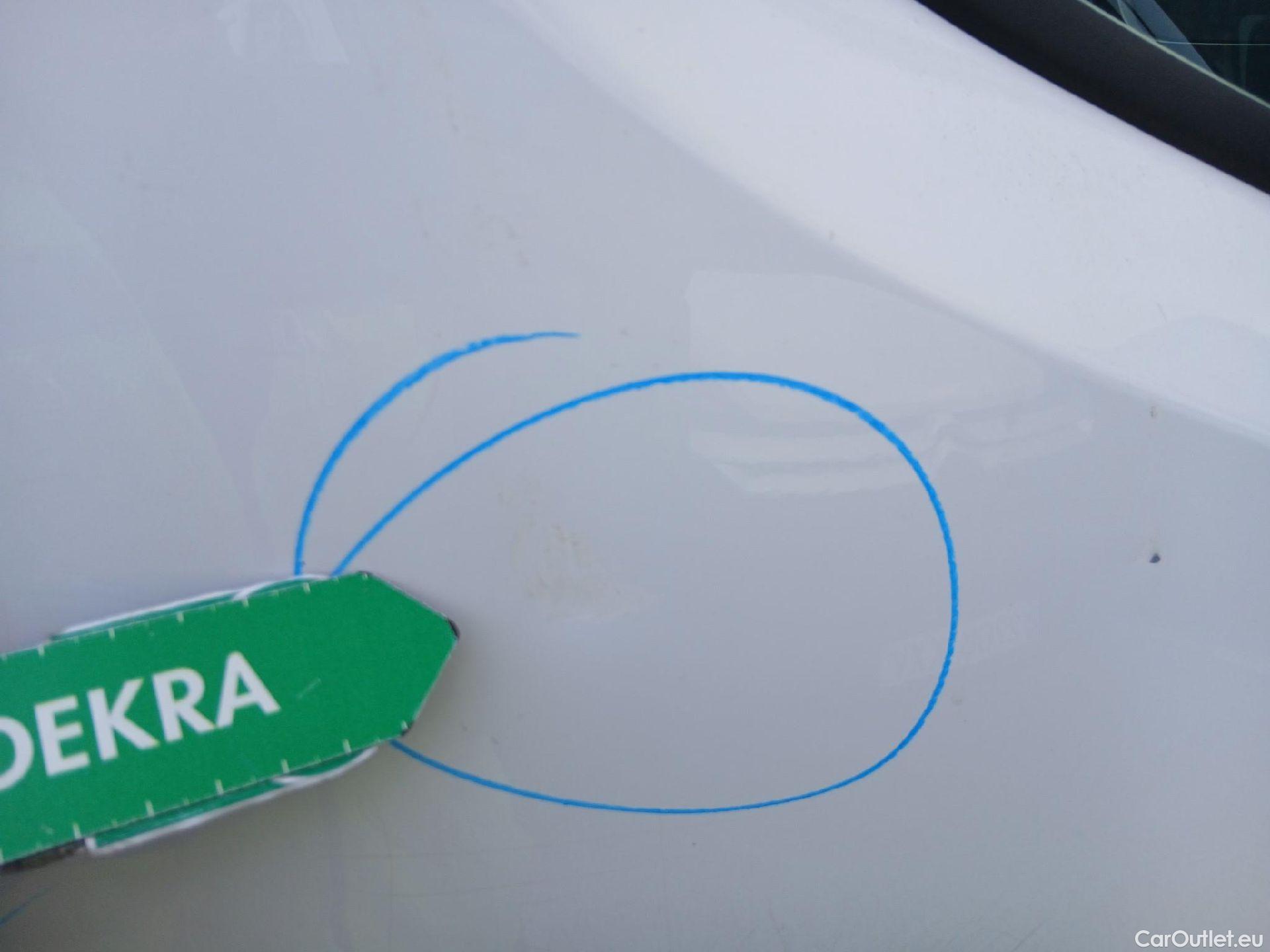  Opel  Movano OPEL  / 2010 / 4P / furgón 2.3 CDTI 96kW (130CV) L2 H2 F 3.5t #58