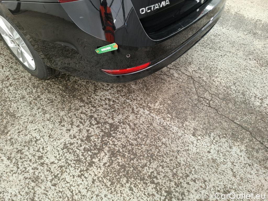 Skoda  Octavia  Combi Business 2.0 TDI 150CV BVA7 E6d #24