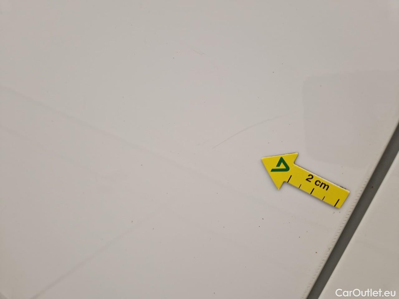  Ford  Transit 2.0 EcoBlue 105PS 300 Trend L1H1 #14