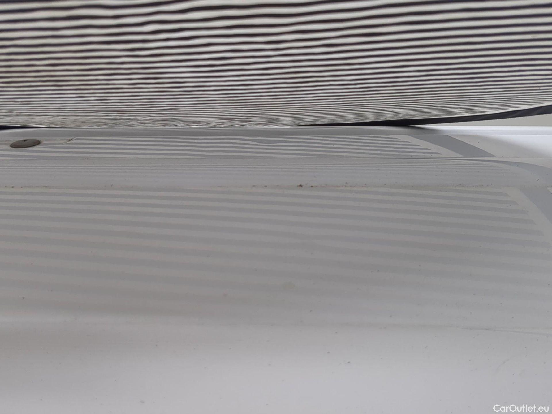  Renault  Kangoo  Express Maxi Extra (Série Spéciale) 1.5 #28