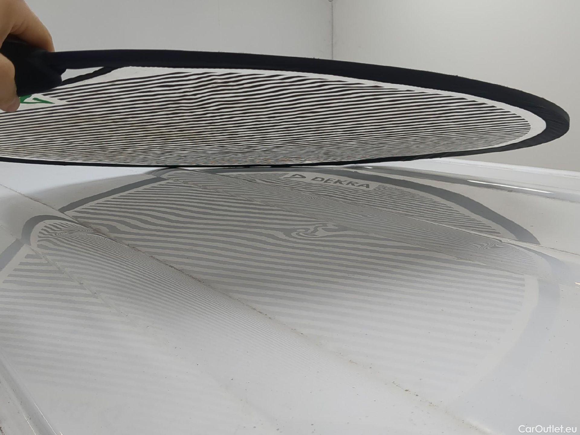  Renault  Kangoo  Express Maxi Extra (Série Spéciale) 1.5 #29