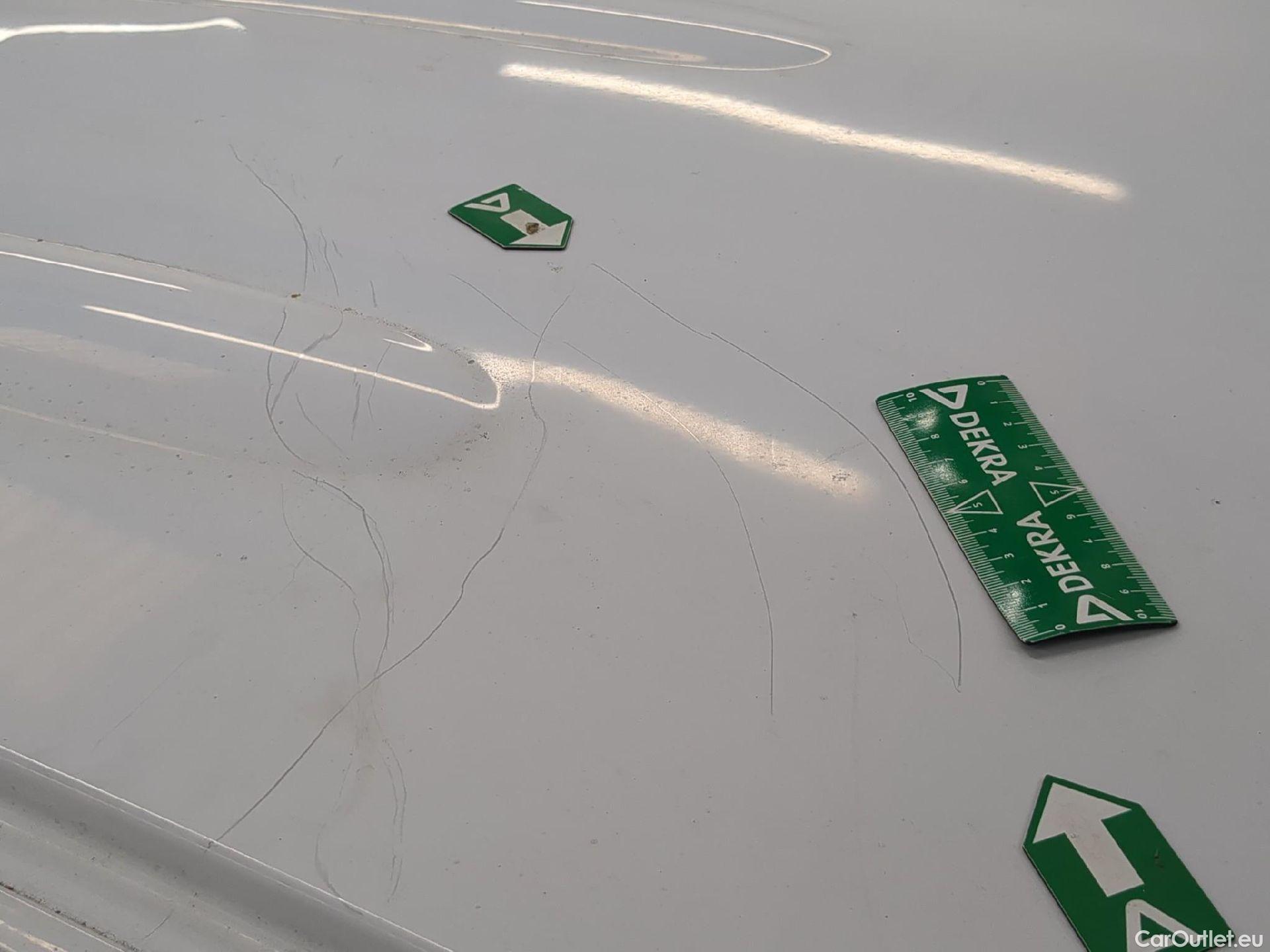  Renault  Kangoo  Express Maxi Extra (Série Spéciale) 1.5 #31