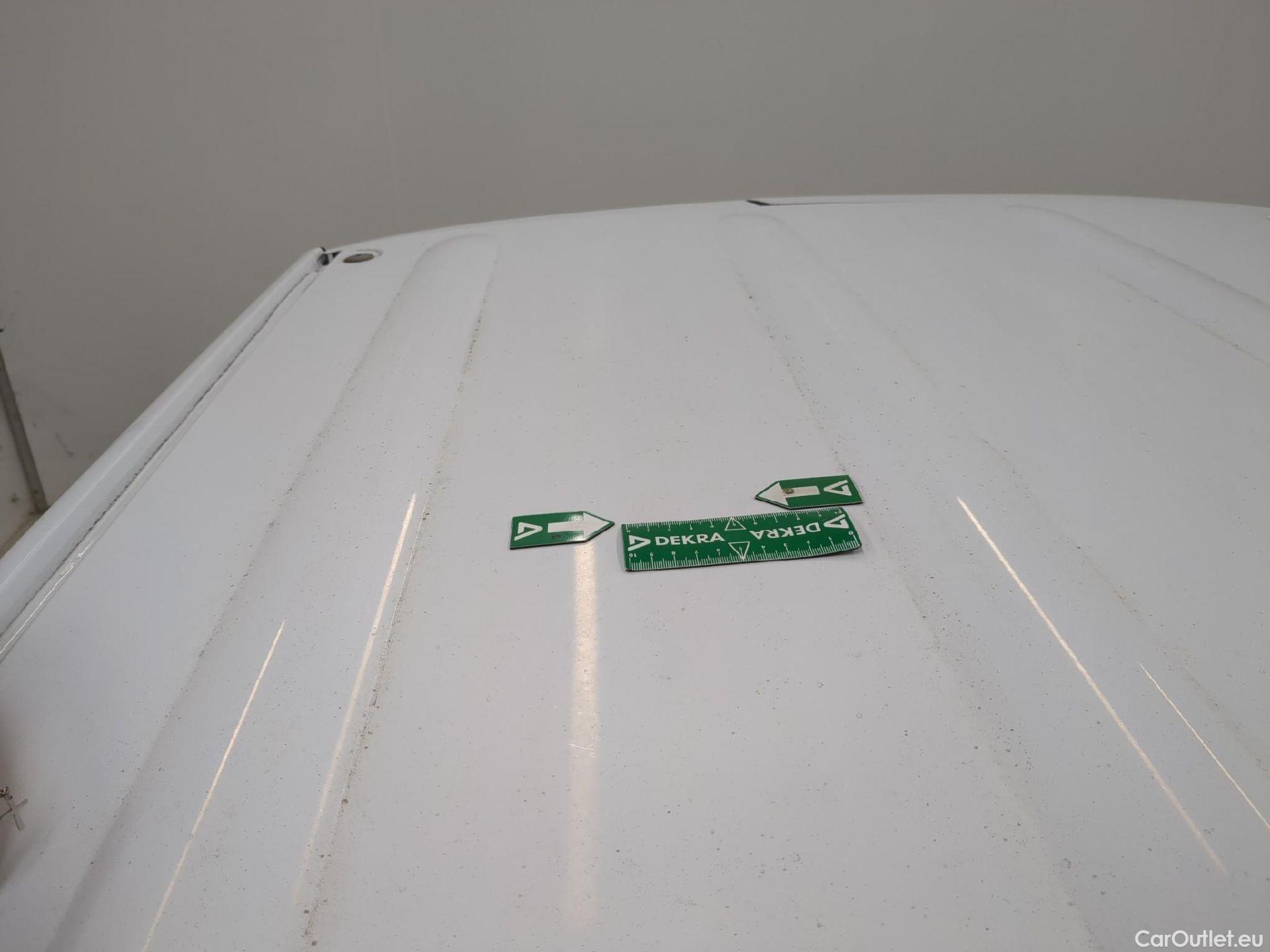  Renault  Kangoo  Express Maxi Extra (Série Spéciale) 1.5 #33