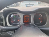  Fiat  Panda 0.9 TwinAir Turbo 85cv 4x4 Cross Manual Petrol  3 #7