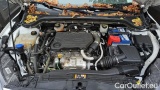  Ford  Focus 1.5 Ecoblue 120cv Bus. Cambio Autom. SW #15