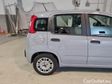  Fiat  Panda FIAT  / 2011 / 5P / BERLINA 1.0 FIREFLY 70CV SeS HYBRID #36