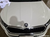  Skoda  Octavia SKODA  WAGON / 2020 / 5P / STATION WAGON 2.0 TDI EVO 85KW EXECUTIVE DSG #23