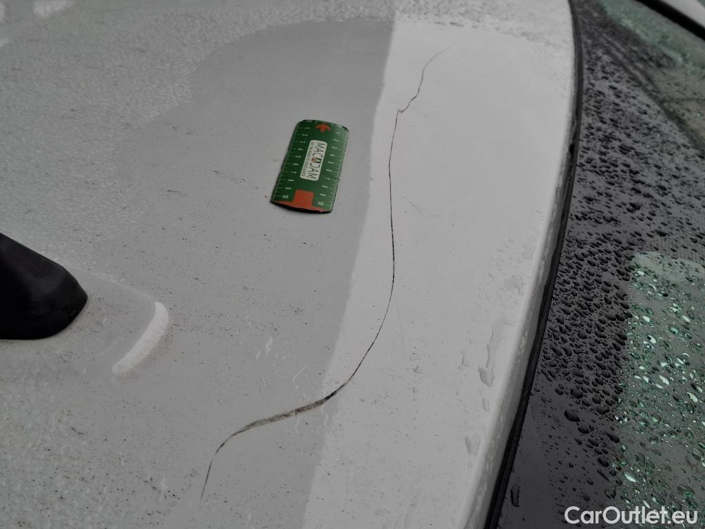  Renault  Trafic RENAULT  / 2019 / 4P / Fourgon tole NV FG GCF L1H1 1200 dCi 120 S&S #33