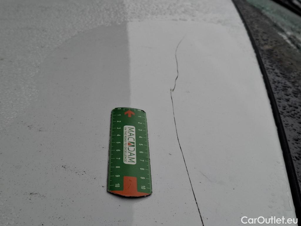  Renault  Trafic RENAULT  / 2019 / 4P / Fourgon tole NV FG GCF L1H1 1200 dCi 120 S&S #32