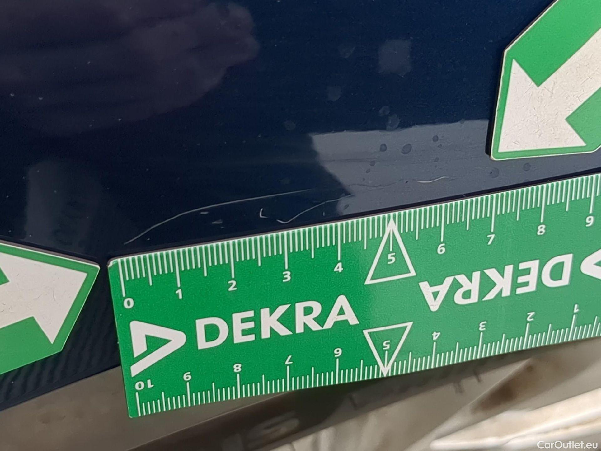  Skoda  Octavia  Break Business 2.0 TDI 115CV BVA7 E6d #19