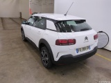 C4 Cactus
