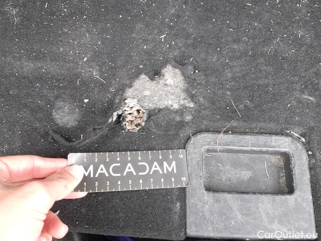  Ford  Kuga FORD  / 2019 / 5P / todoterreno Trend 1.5 EcoBoost 110kW (150CV) #24