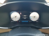  Hyundai  Santa Fe Santa  Fe (TM)(2020)  2.2CRDi Luxury 4x4 AT #20