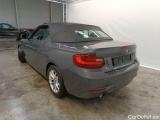  Bmw  Serie 2 BMW 2 Reeks Cabrio 218i (100 kW) 2d #22
