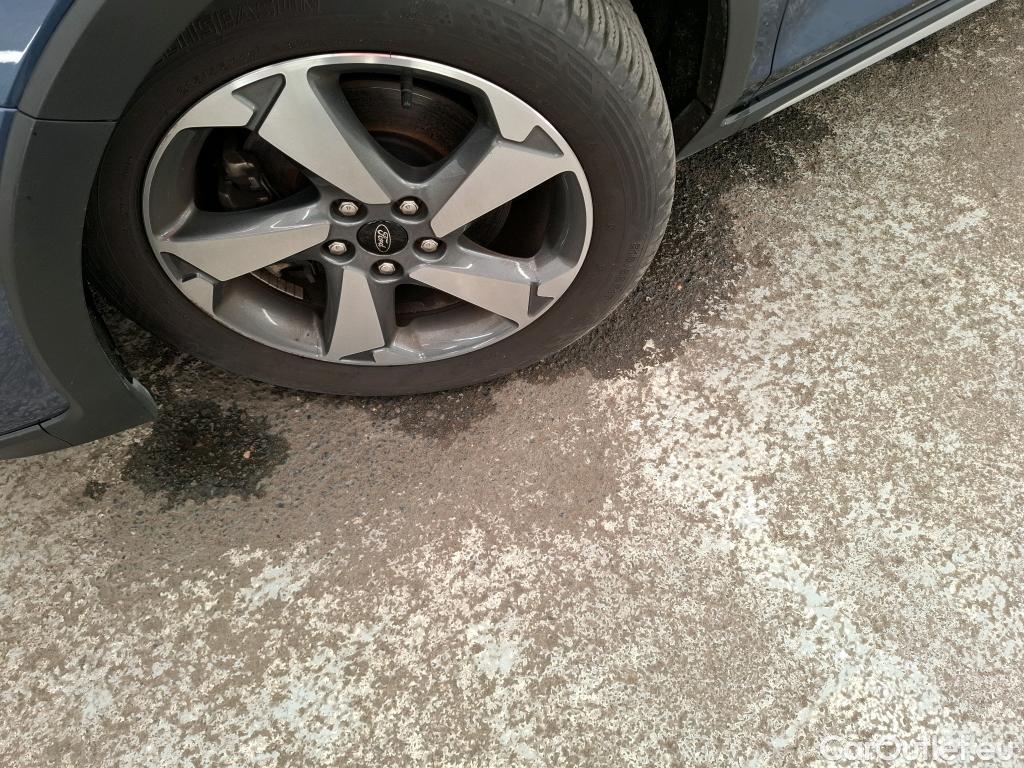  Ford  Focus  Break Active 1.0 EcoBoost 125CV BVM6 E6dT #14