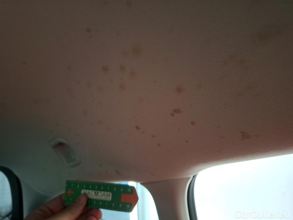  Ford  Focus  Break Active 1.0 EcoBoost 125CV BVM6 E6dT #31