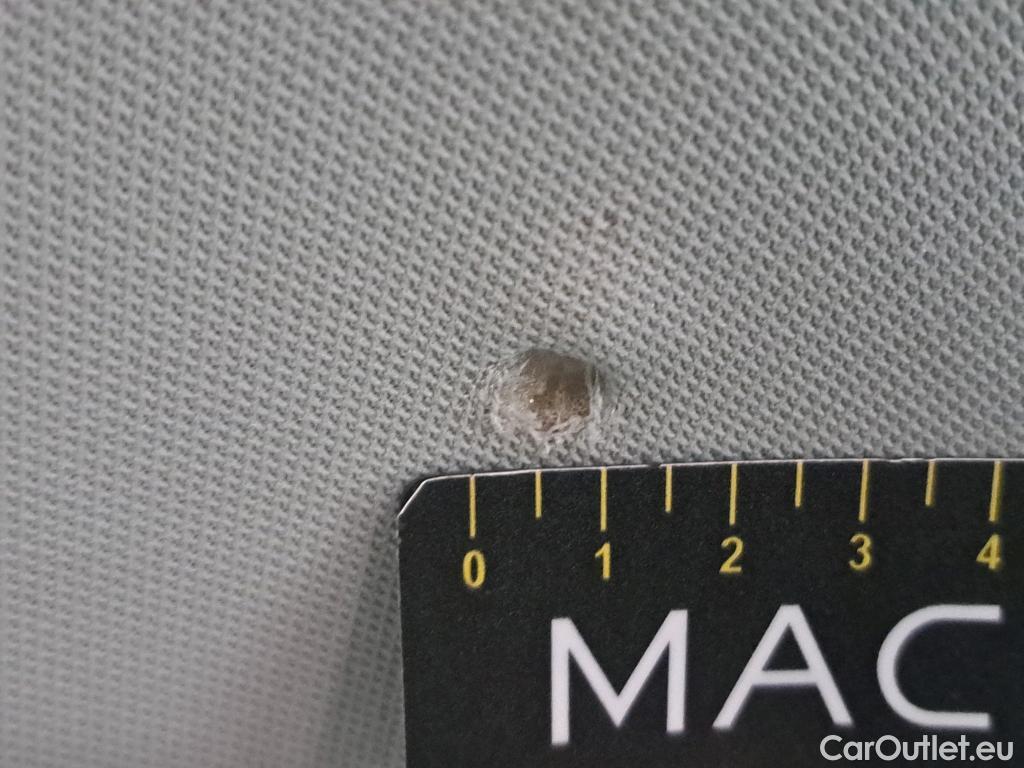  Skoda  Octavia  Combi Business 1.6 TDI 115CV BVA7 E6 #24