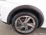  DS  DS7 DS DS 7 CROSSBACK / 2017 / 5P / SUV BLUEHDI 130 AUTOMATICA BUSINESS #20