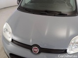  Fiat  Panda FIAT  / 2011 / 5P / BERLINA 1.2 69CV SeS E6D-TEMP EASY #28