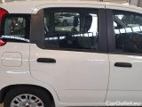  Fiat  Panda FIAT  / 2011 / 5P / BERLINA 1.0 70CV SeS HYBRID #38